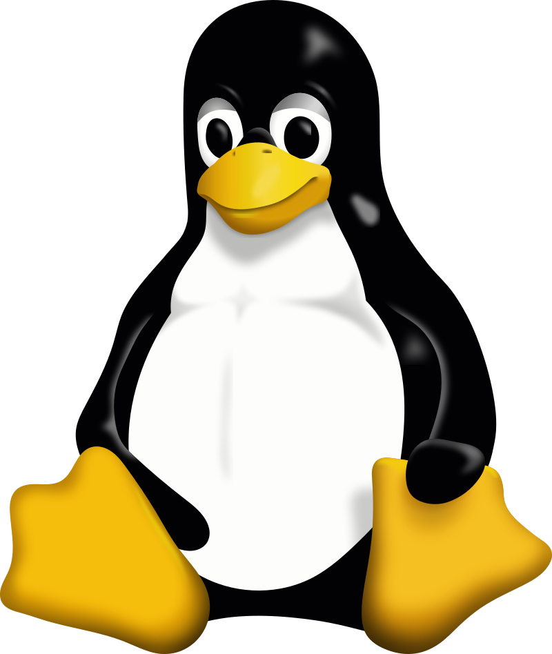 VPS Linux - Medium